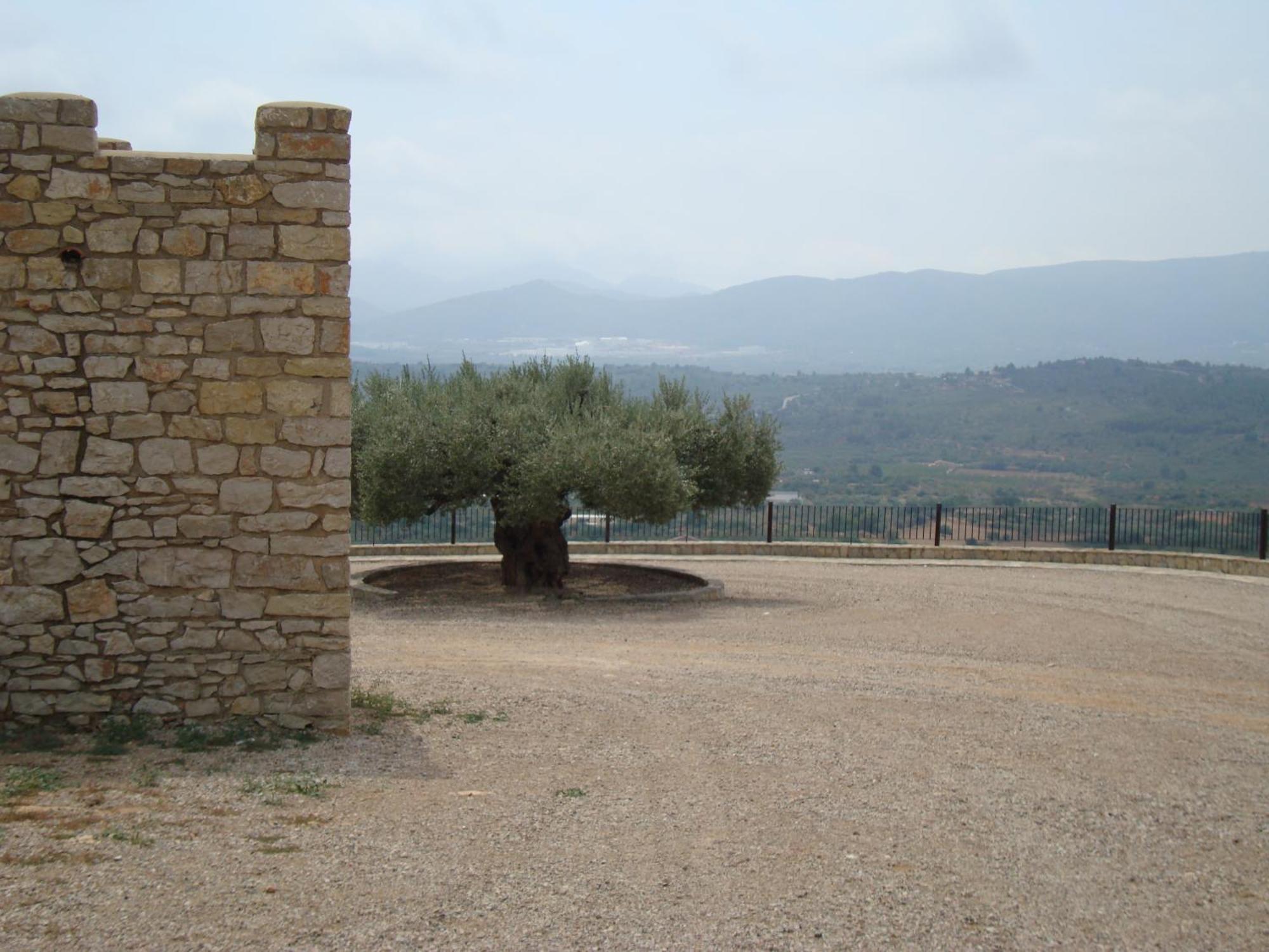 ホテル L'Ermita Casa Ripo Vall dʼAlba エクステリア 写真