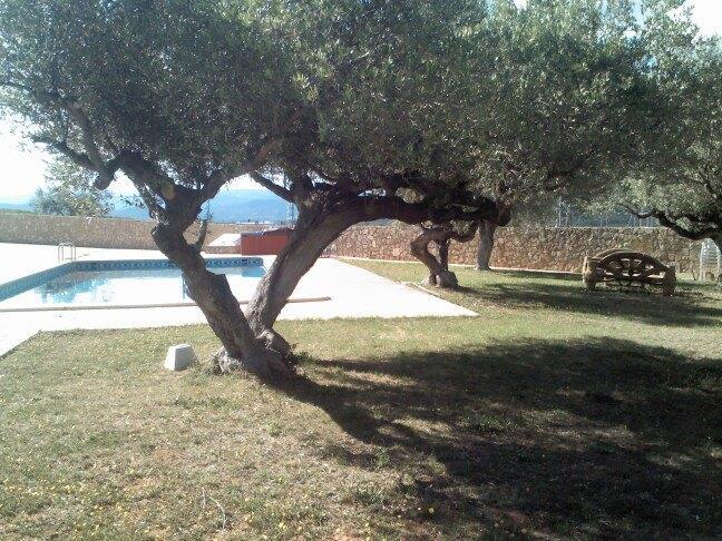 ホテル L'Ermita Casa Ripo Vall dʼAlba エクステリア 写真
